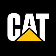 cat fish